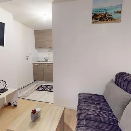 Le Napoleon Apartment Mulhouse