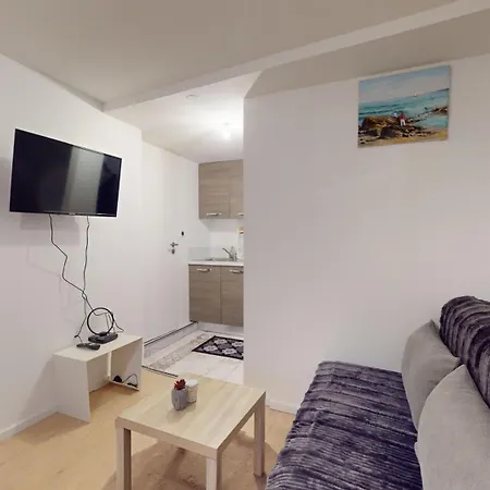 Apartment Le Napoleon