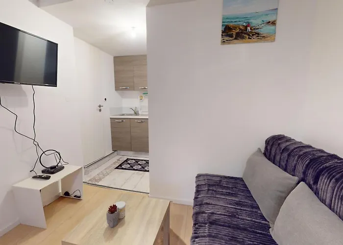 Le Napoleon Appartement Mulhouse