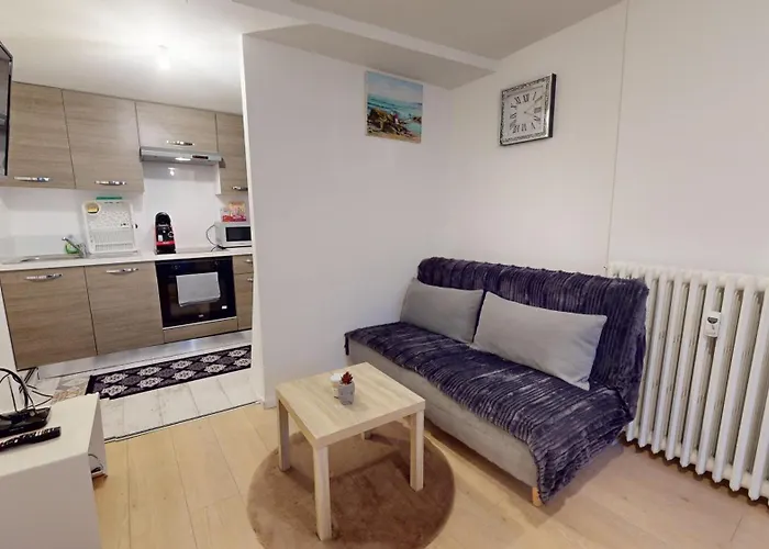 Appartement Le Napoleon Mulhouse