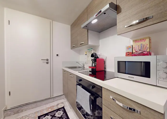 Appartement Le Napoleon Mulhouse